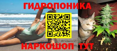 спиды Кулебаки